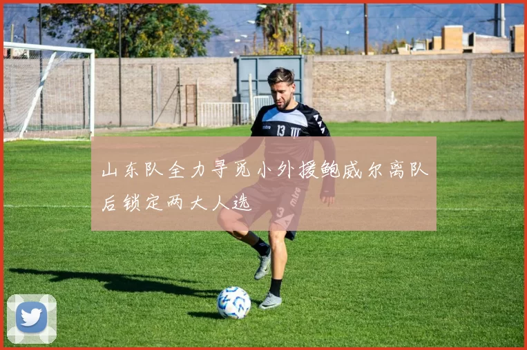山东队全力寻觅小外援鲍威尔离队后锁定两大人选