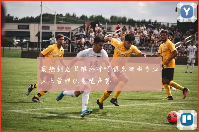 前热刺后卫维加呼吁俱乐部由专业人士管理以重塑声誉