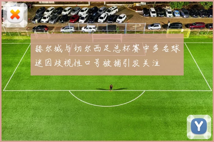 赫尔城与切尔西足总杯赛中多名球迷因歧视性口号被捕引发关注